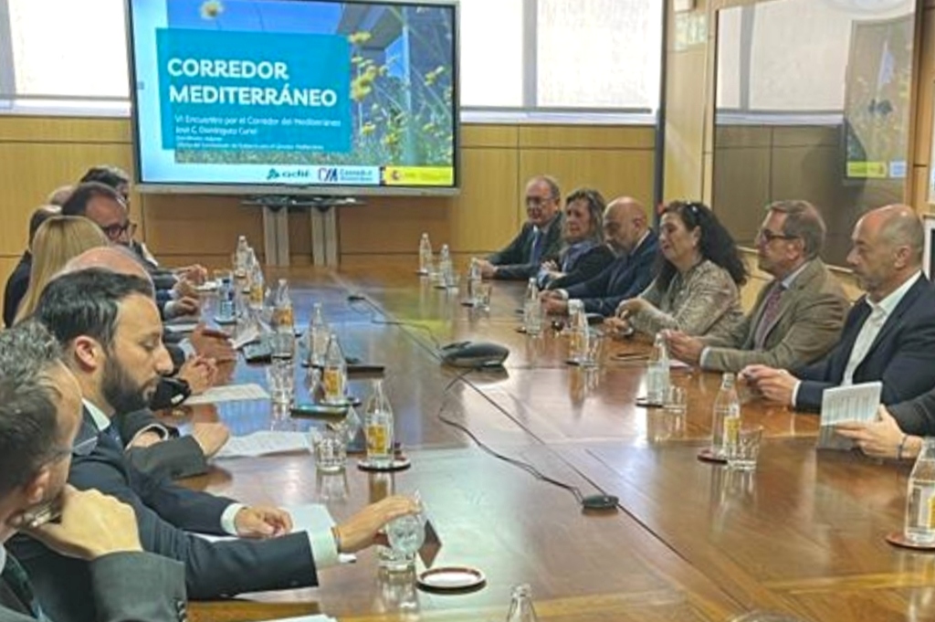 El Colegio de Abogados de Granada solicita la ejecución